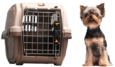 Sky Pet Shipping Service